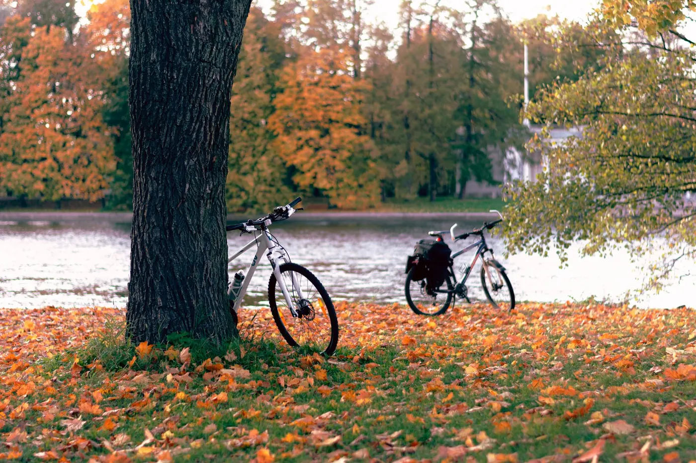 Two bicycles parked by a river among autumn leaves
