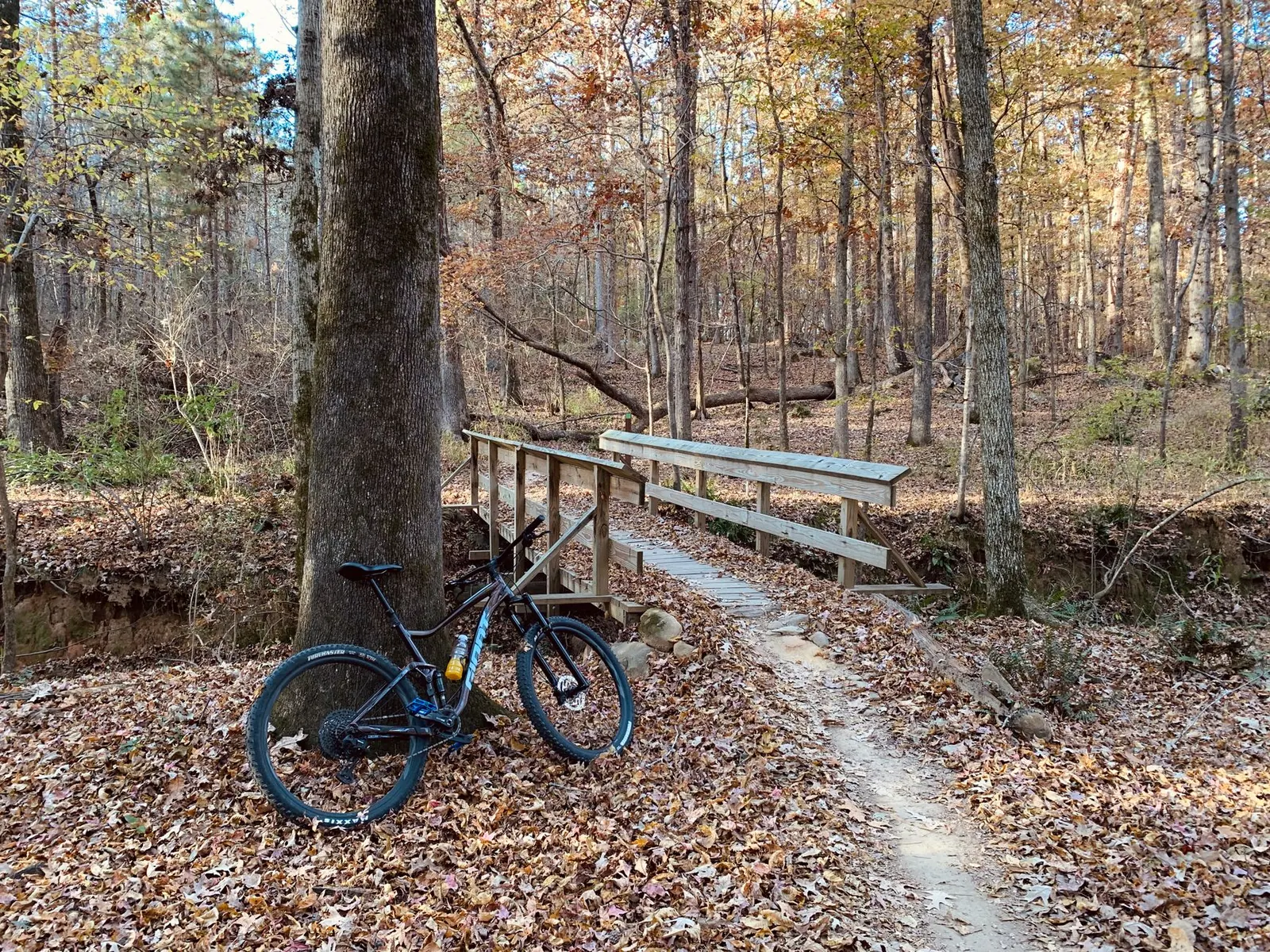 Hardtail vs. Full-Suspension Mountain Bike