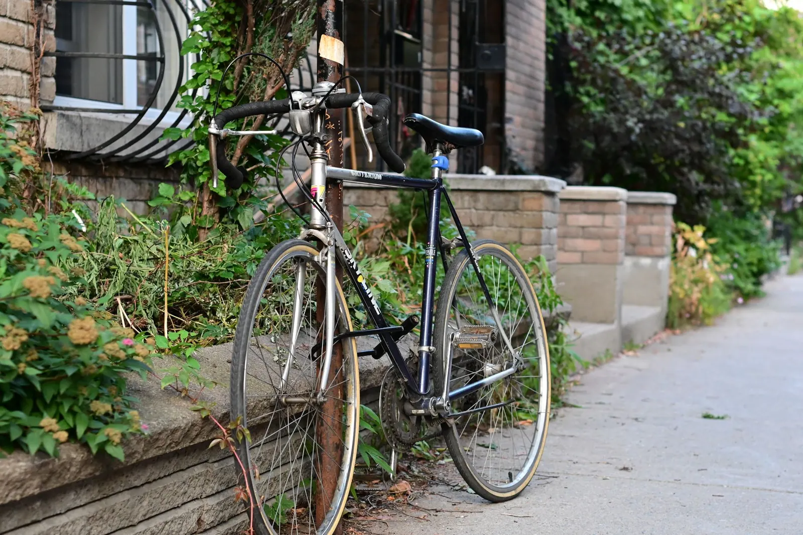Road Bike vs. Gravel Bike: Which Should a Fitness Rider Buy